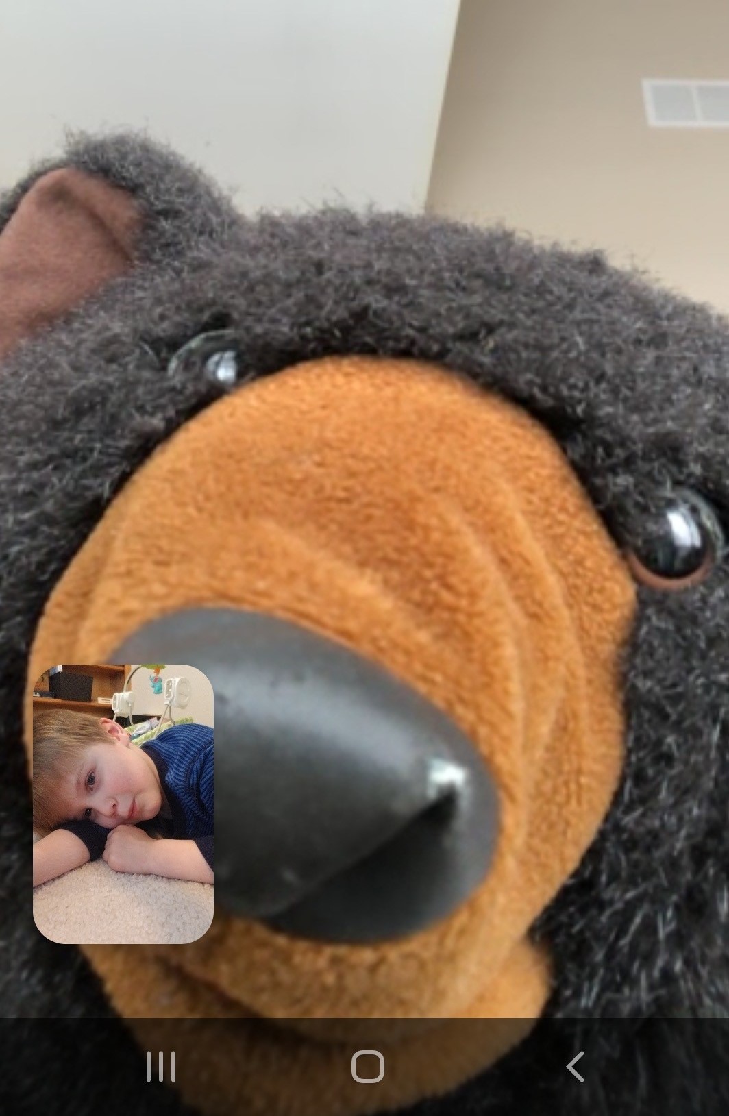 Bear puppet takes a call.