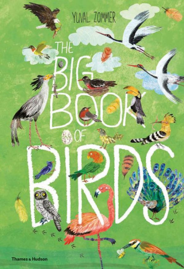 big-book-of-birds1C253624-9017-4F59-B9AF-F5863368BE12.jpg
