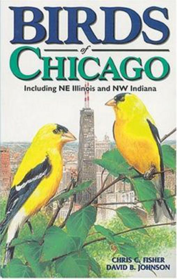birds-of-chicago0AF75D6B-142B-EE25-BEDA-50383BB6AF24.jpg