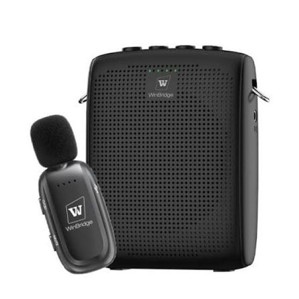 Lapel mic and mini amp