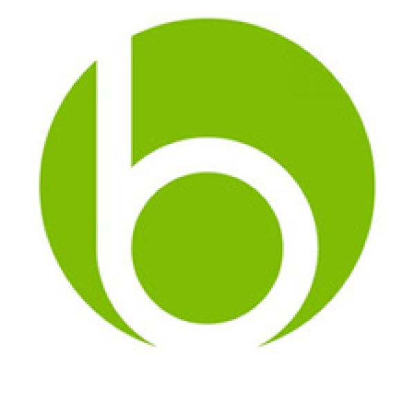 Picture of Barrington Area Library logo