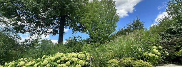 Link returns user to Library home page. Labor Day: The Library Will Be Closed on Monday, Sept 7. Photograph of gardens outside the eastern side of the Library building. 