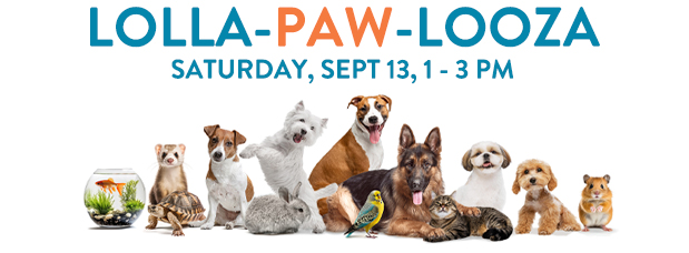 Photograph of many different types of animals commonly kept as pets, wording reads Lolla-Law-Looza: All About Animals, LINK to event page