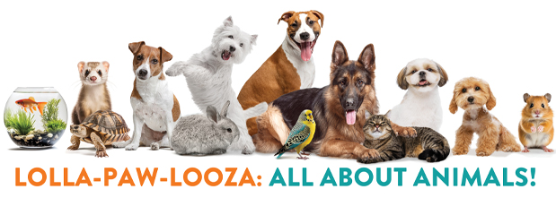 Photograph of many different types of animals commonly kept as pets, wording reads Lolla-Law-Looza: All About Animals, LINK to event page
